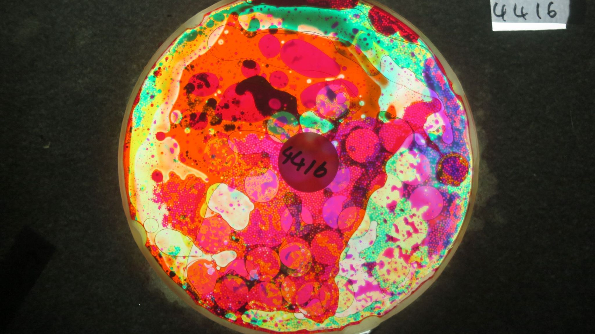 BV4416 bubble vision oil wheel